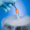 Ovule congelate în Spania