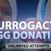 Mama surogat /purtatoare si FIV cu ovocite donate