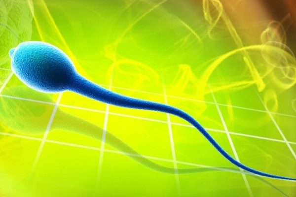 Studiile arată că tractul reproductiv al femeii poate distruge sperma nedorită după finalizarea actului sexual