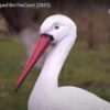 Războiul nu a oprit BioTexCom!