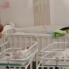 Bebelușii români prinși în mijlocul războiului au ajuns in România. Copiii au fost născuți de mame surogat în Ucraina