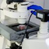Motivele scăderii rezervei ovariene la femei