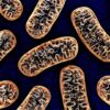 Cum se nasc la BioTexCom copii fără boli genetice