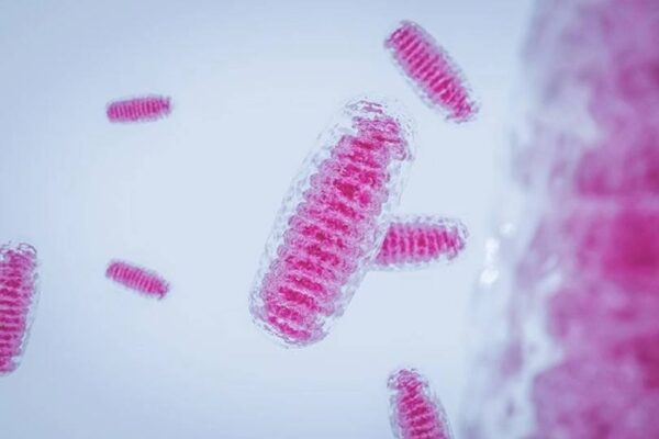 Terapia de substituție mitocondrială: atunci când medicina învinge bolile ereditare